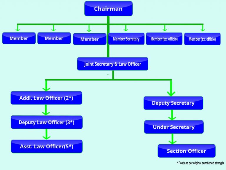 Organization Chart | Law Commission Of India | India