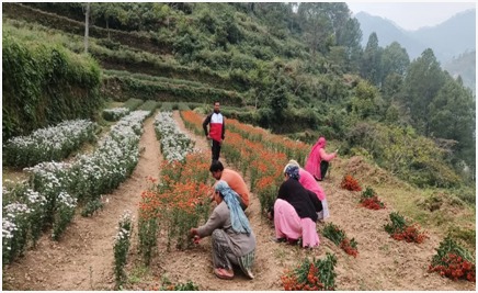 WhatsApp Image 2026-02-04 at 13.34.29