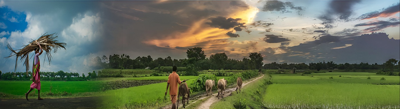 Rural living standards1