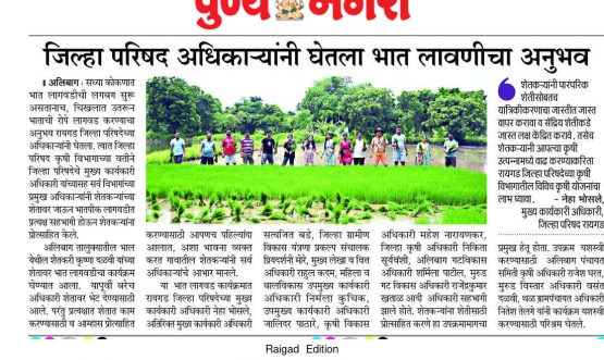 भात लावणीचा अनुभव