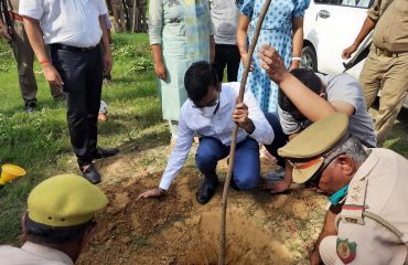 Tree plantation at Ganga Bridge Road and Mohammadabad Village Society Bhita, Kalakankar Range, Pratapgarh