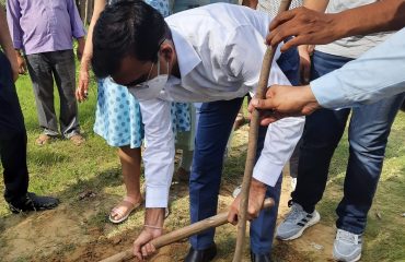 Tree plantation at Ganga Bridge Road and Mohammadabad Village Society Bhita, Kalakankar Range, Pratapgarh