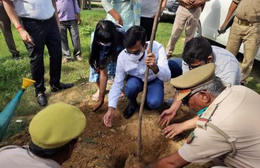Tree plantation at Ganga Bridge Road and Mohammadabad Village Society Bhita, Kalakankar Range, Pratapgarh