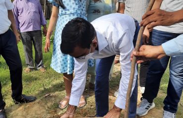 Tree plantation at Ganga Bridge Road and Mohammadabad Village Society Bhita, Kalakankar Range, Pratapgarh