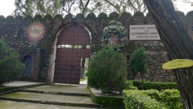 Nature Museum