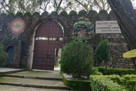 Nature Museum