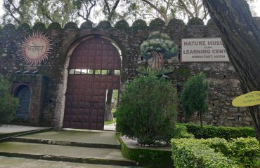 Nature Museum