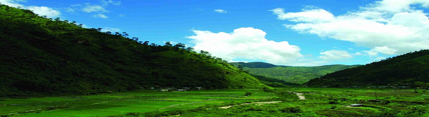 Green Zone of Bhagirathi River Valley Development Authority