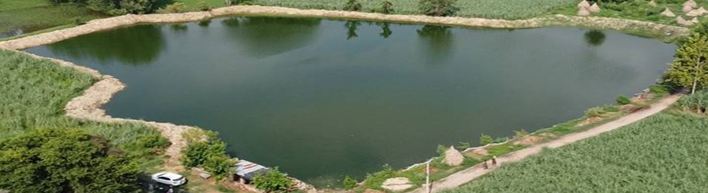 Department of Fisheries