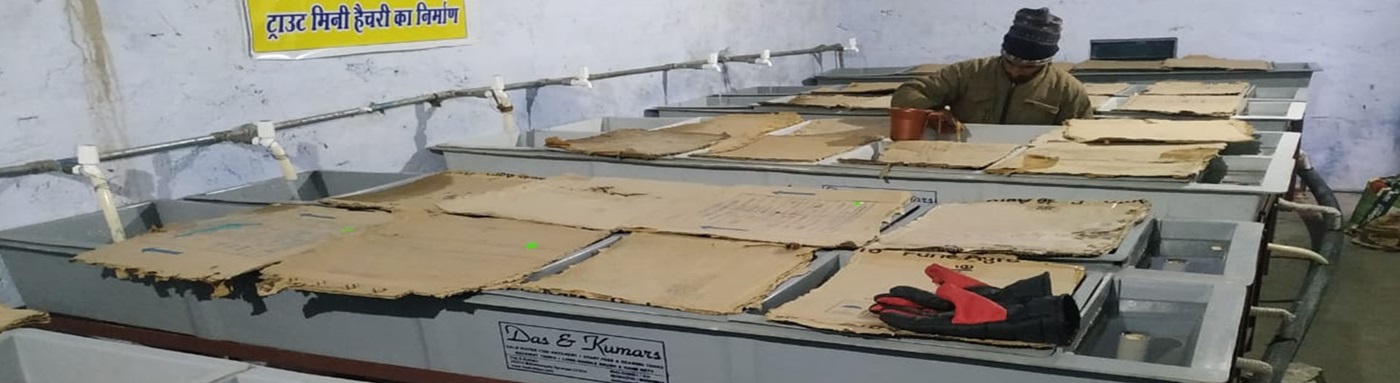 Department of Fisheries