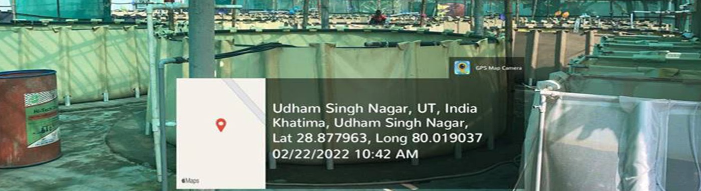 Department of Fisheries