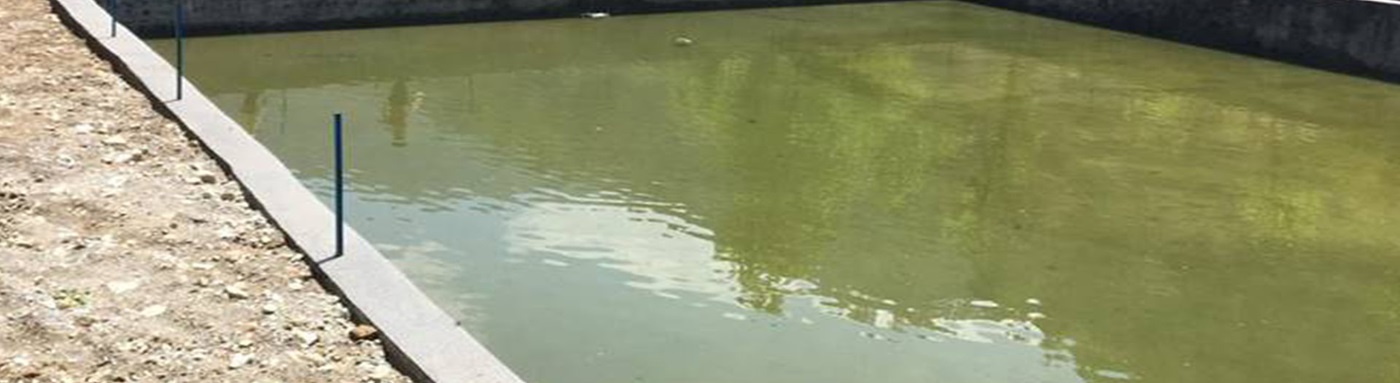 Department of Fisheries