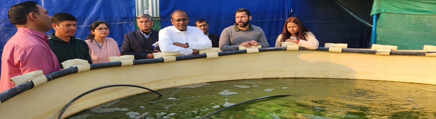 Department of Fisheries