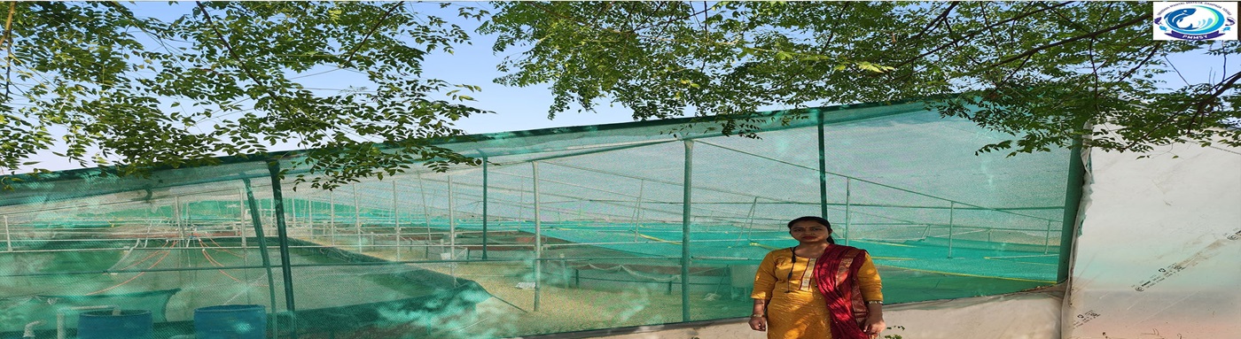 Department of Fisheries