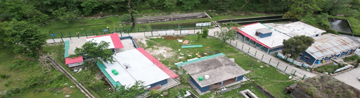 Department of Fisheries