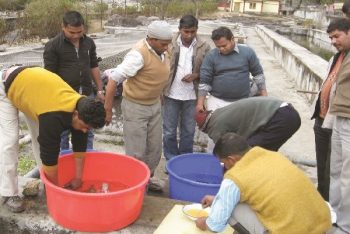 Department of Fisheries