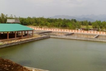 Department of Fisheries