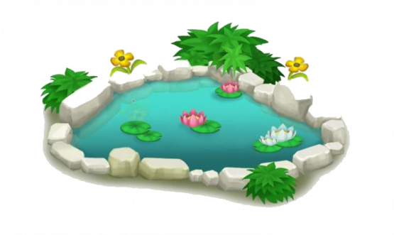 Pond Culture