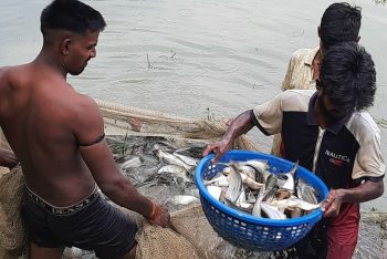 Department of Fisheries