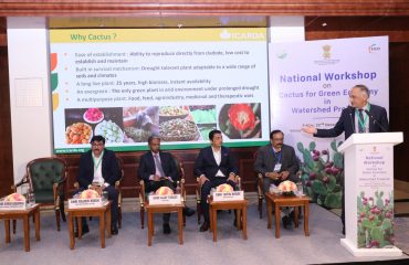 National Workshop on Cactus Plantation