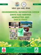Newsletter Cover Page