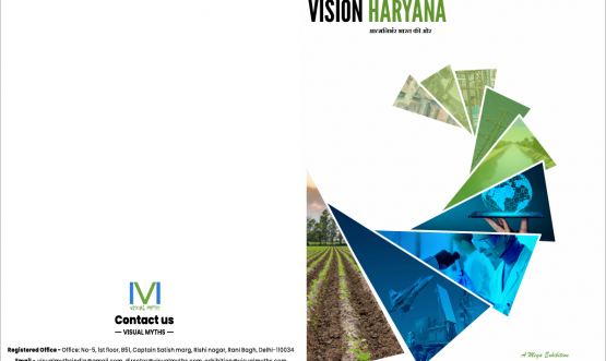 vision haryana