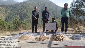 गुणवत्ता का परीक्षण