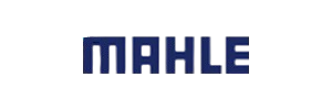 MAHLE MAHLE