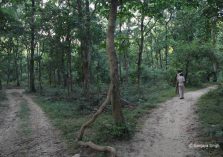 Suhaildev Bird Sanctuary;?>