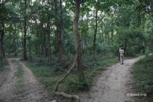 Suhaildev Bird Sanctuary;?>