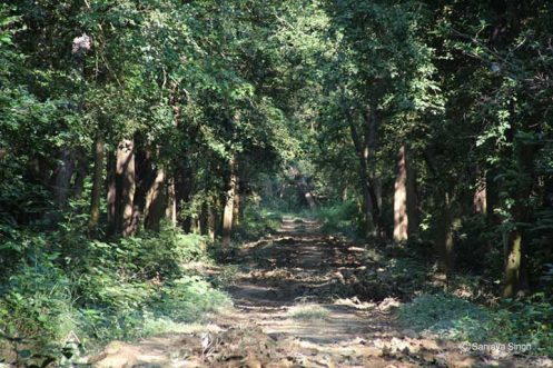 Suhaildev Bird Sanctuary