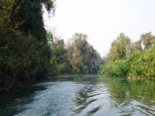कतर्नियाघाट