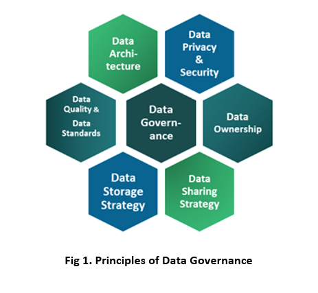 Image of Principles under Data Governance Principles under Data Governance