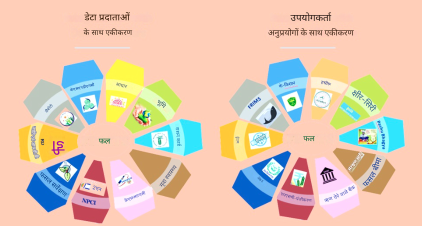 फ्रूट्स वेब पोर्टल में पंजीकृत किसानों की छवि फ्रूट्स वेब पोर्टल में पंजीकृत किसानों की छवि