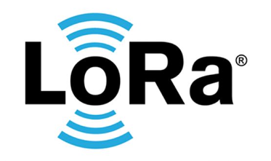 Lora