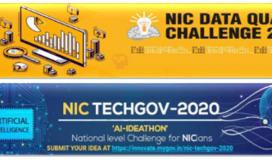 NIC-Overcoming-Challenges-in-Crisis-Times-2020