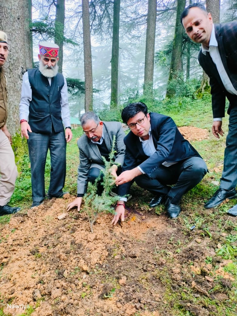 Glimpse of State Level Plantation Drive - 2025