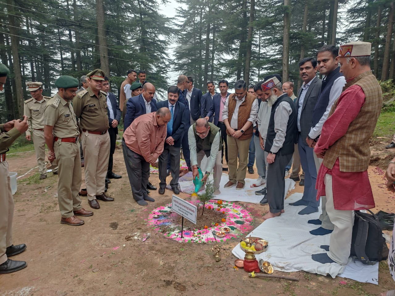 राज्य स्तरीय वृक्षारोपण अभियान - 2025 की एक झलक