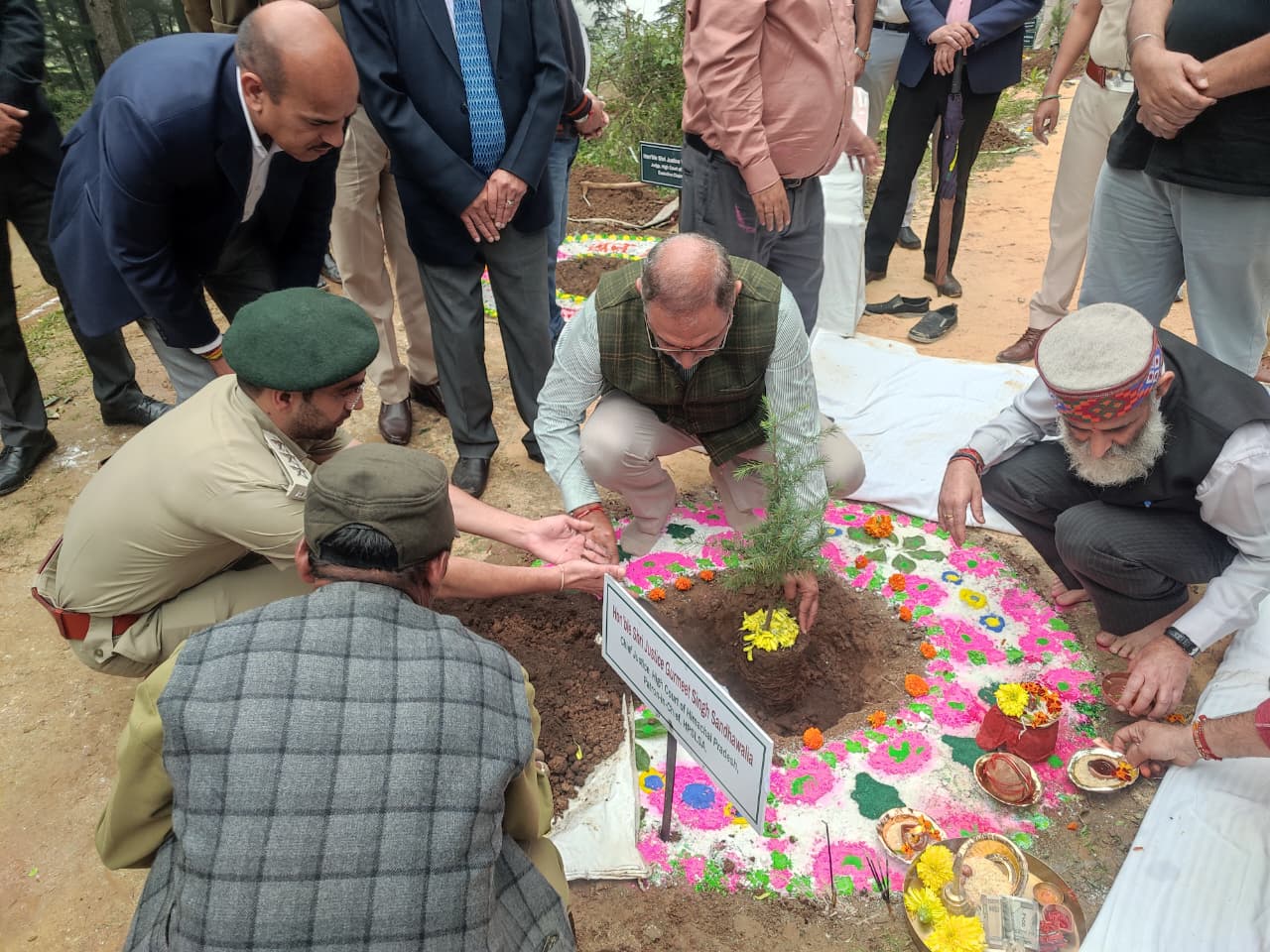 Glimpse of State Level Plantation Drive - 2025