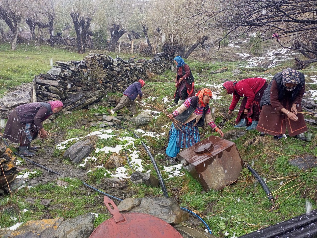 Cleanliness campaign by women