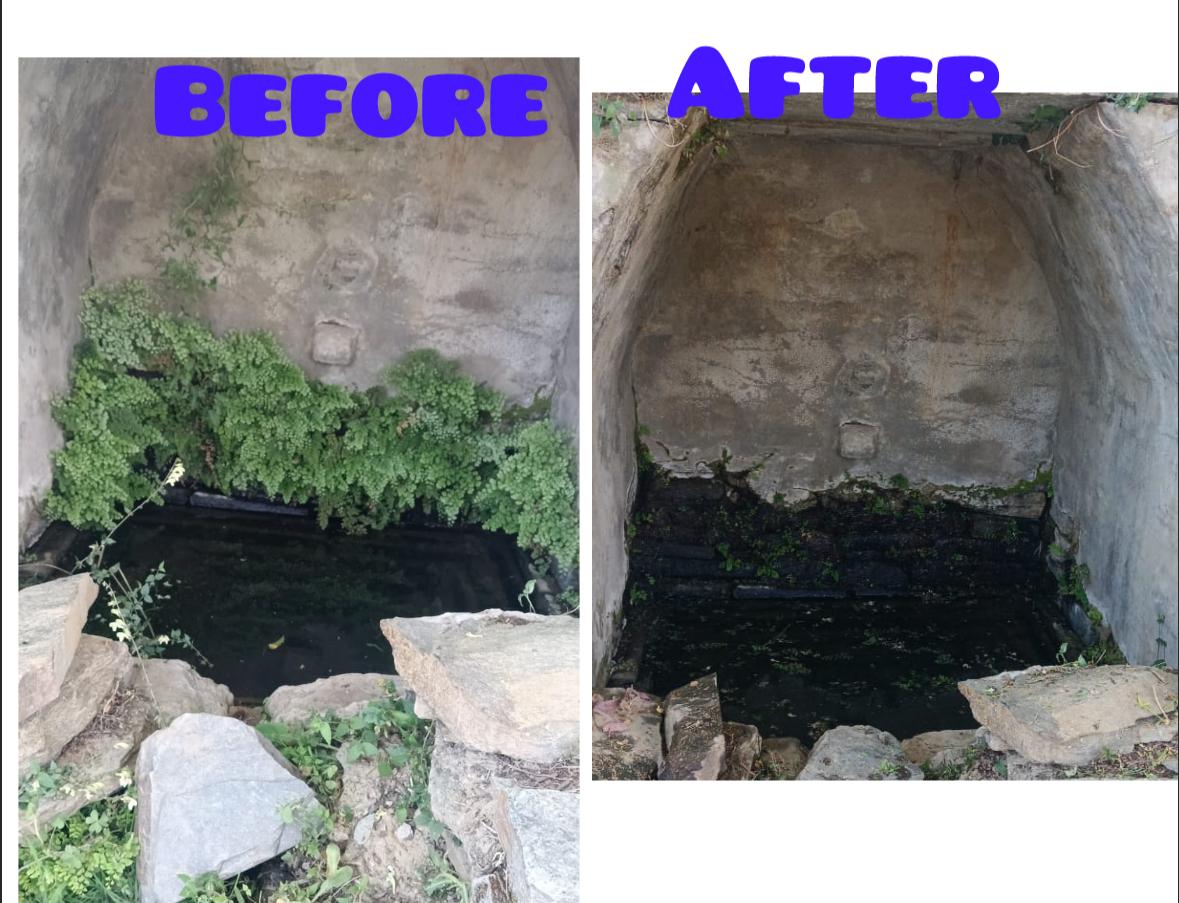 Before and After Photos of Water Campaign