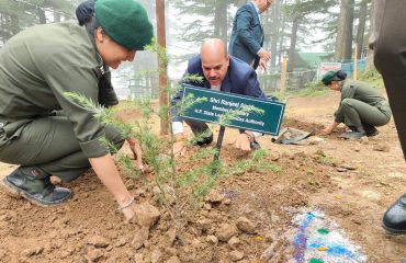 Glimpse of State Level Plantation Drive - 2025