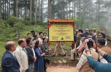 Glimpse of State Level Plantation Drive - 2025