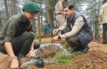 Glimpse of State Level Plantation Drive - 2025