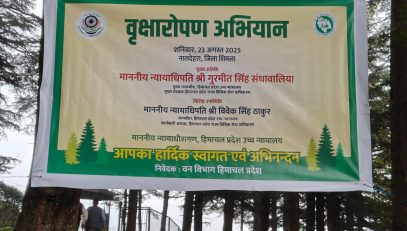 Glimpse of State Level Plantation Drive - 2025