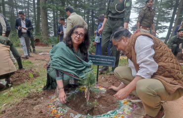 Glimpse of State Level Plantation Drive - 2025
