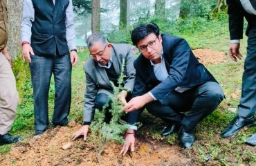 Glimpse of State Level Plantation Drive - 2025