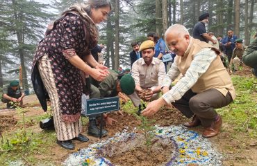 Glimpse of State Level Plantation Drive - 2025