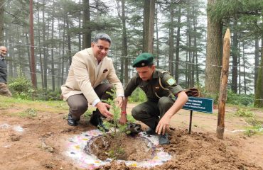 Glimpse of State Level Plantation Drive - 2025