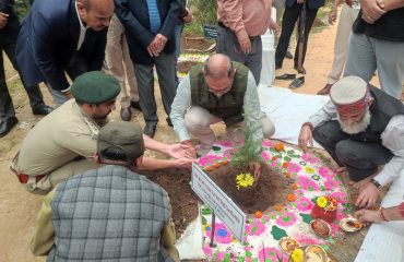 Glimpse of State Level Plantation Drive - 2025